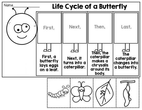 Life Cycle Of A Butterfly Free Printable Worksheet