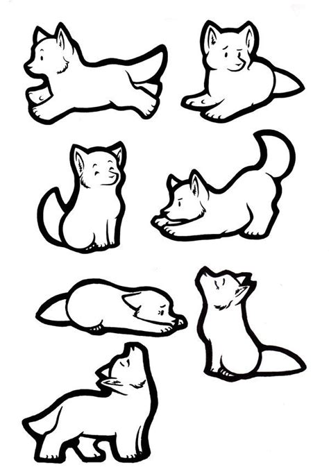 How To Draw A Baby Wolf Step By Step