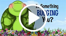 Who Loves Bugs and Frogs and Turtles and Snails and Bees? Why EVERYONE ...