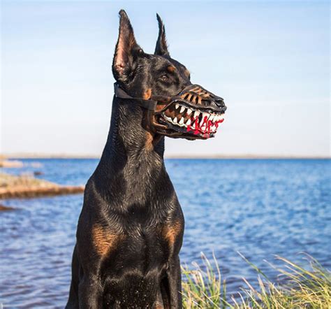 People Are Sharing Pictures Of Their Dogs Wearing This Terrifying Dog