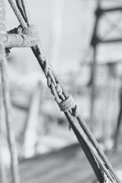 Grayscale Photo Of Rope On Log · Free Stock Photo