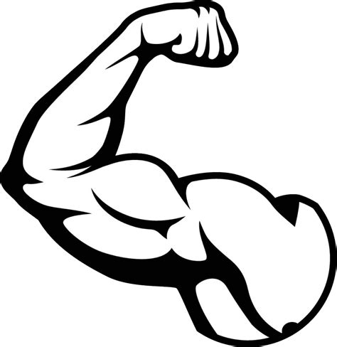 Muscle Png Image Purepng Free Transparent Cc0 Png Image Library