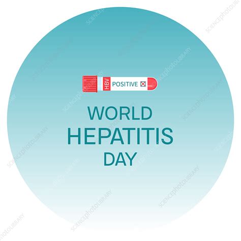 World Hepatitis Day Illustration Stock Image F0342808 Science