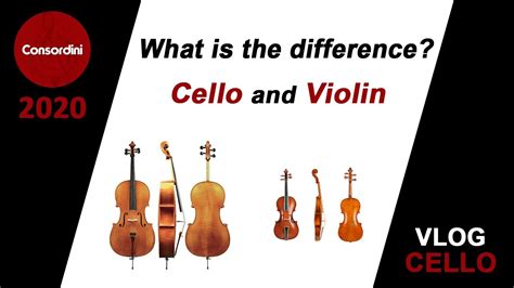 What Is The Difference Between A Cello And Violin Mrsudd