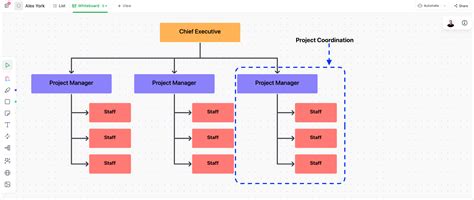 Projectized Organization Structure Sexiz Pix