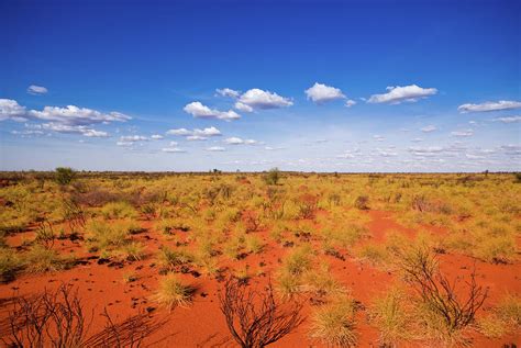 Outback Landscape Showing The Blue Sky By Cuhrig