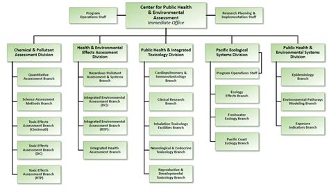 Organization Chart For The Center For Public Health And Environmental