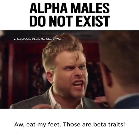 Alpha Males Do Not Exist Turns Out Alpha Wolves Are Justdevoted