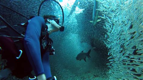 A Scuba Diver Captures Stunning Gopro Footage As He Swims Through A Massive School Of Silverside