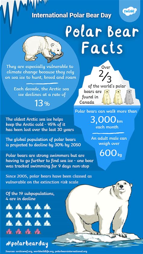 International Polar Bear Day 2021 Twinkl