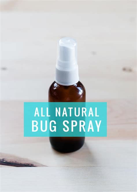 Diy All Natural Bug Spray Hello Glow