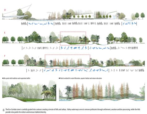 Trees Sections Bla Bla Landscape Architecture Section Landscape