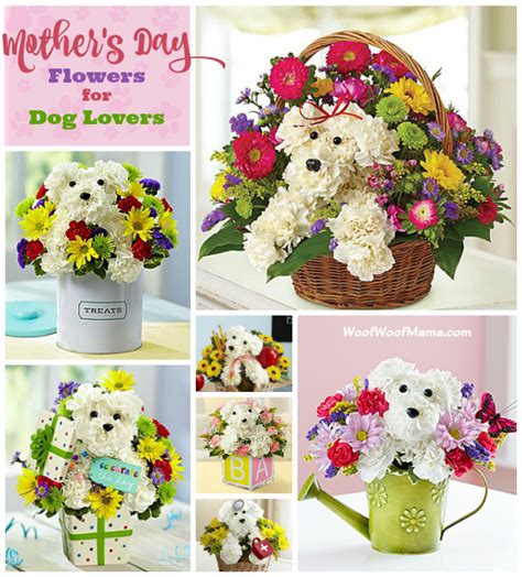 There are 15 promo codes for mar 2021. Mother's Day Flowers for Dog Lovers + Promo Codes and ...