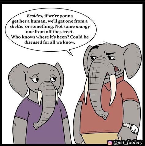 30 Funny Comics About Animals By Pet Foolery Richhippos