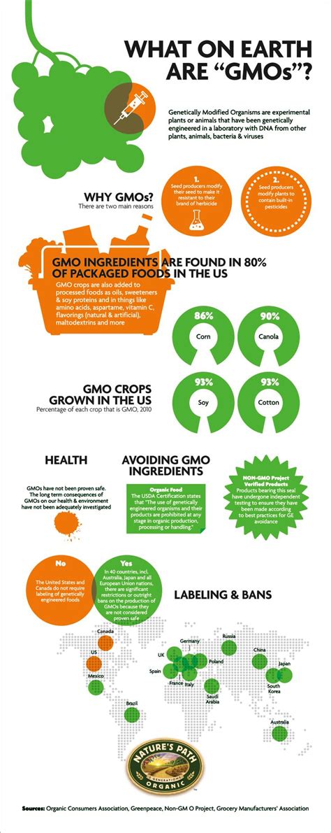 What Are Gmos And Why Do Consumers Care 7 Inforgraphics Explain