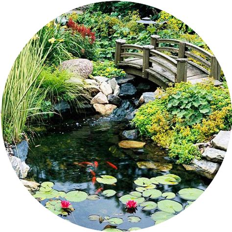 The Magic of a Water Garden in 2021 | Water garden, Garden oasis, Garden