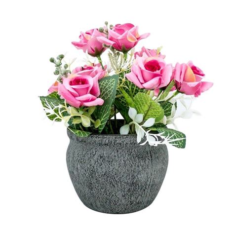 Terkeren 20 Bunga Mawar Di Dalam Pot Gambar Bunga Hd