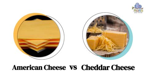 American Cheese Vs Cheddar Cheese How Are They Different Full