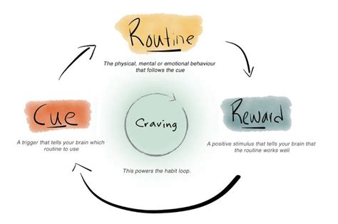 The Habit Loop How To Start New Habits That Actually Stick With The
