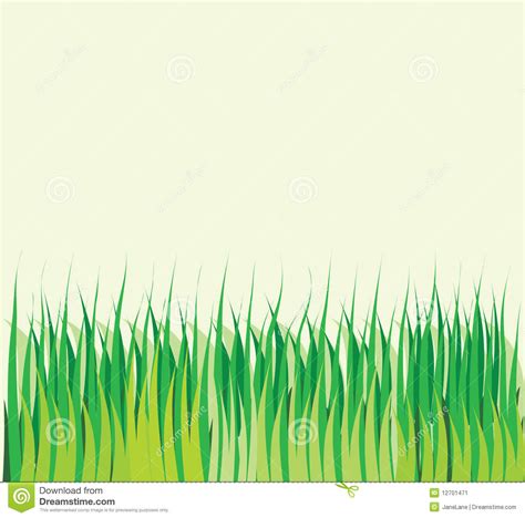 Background With Vector Green Grass Stock Illustration Illustration Of