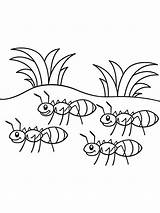 Coloring Preschoolers Ants Gaddynippercrayons sketch template