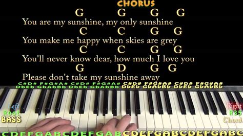 That being said, as of dec. You Are My Sunshine (Traditional) Piano Cover Lesson with ...