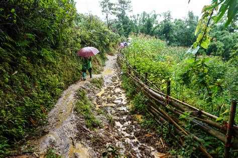 Guide to Trekking Sapa, Vietnam: Tips & Advice | Just Globetrotting