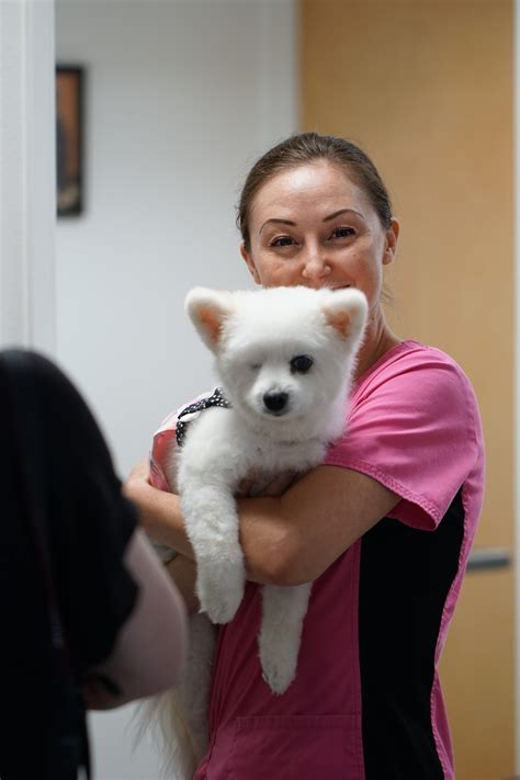 Hawaii Veterinary Vision Care – Caring for your pets vision