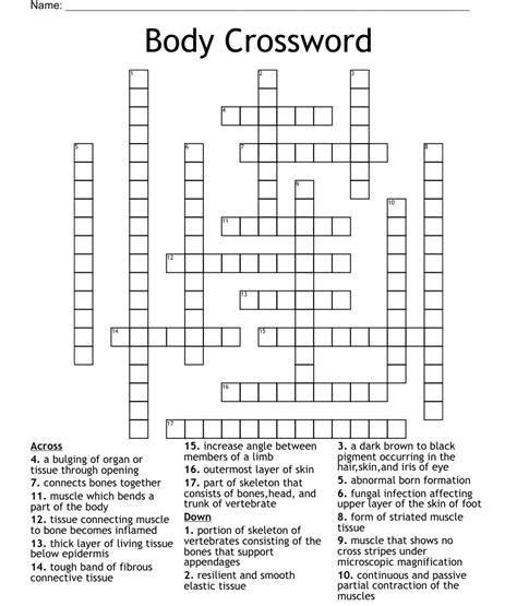 Body Systems Crossword Puzzle Printable
