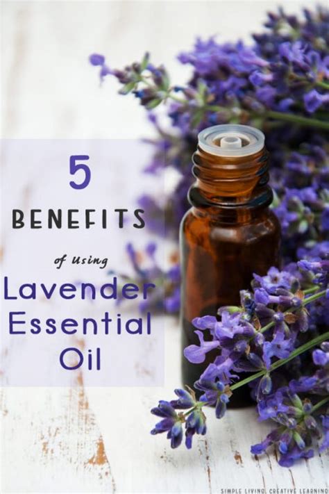 5 Benefits Of Using Lavender Essential Oil Simple Living Creative