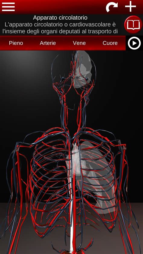 Sistema Circolatorio In 3d Anatomia For Android Apk Download