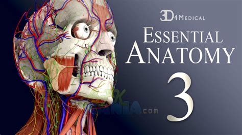 Essential Anatomy Android 版 下载