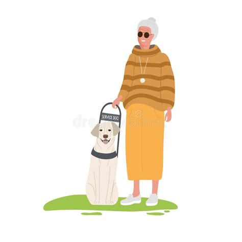 Ältere Frau Mit Dunkler Brille Stehend Blindenhund Hilft älteren Menschen Diensthund