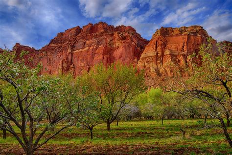 Fine Art Nature Photography From The Norrell Gallery