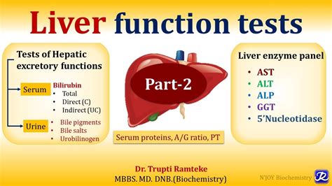 2 Liver Function Tests Part 2 Organ Function Tests Biochemistry N