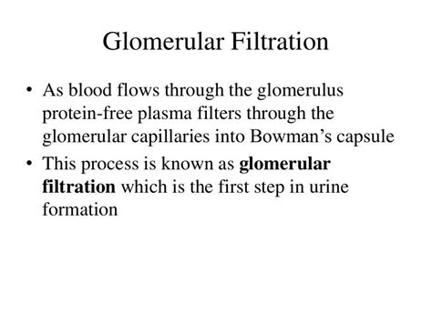 Solution Glomerular Filtration Rate Gfr Studypool