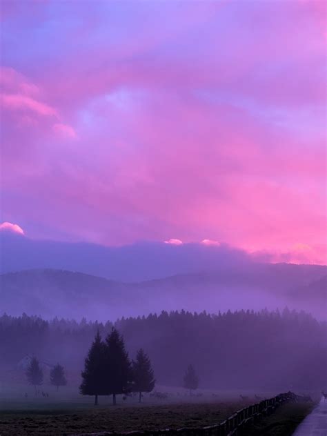 1620x2160 Misty Pink Sunset 1620x2160 Resolution Wallpaper Hd Nature