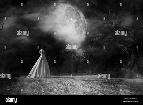 Ghost Woman In White Dress In Creepy Forest3d Illustration Stock Photo