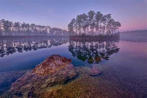 10 Things You Didnt Know About Everglades National Park