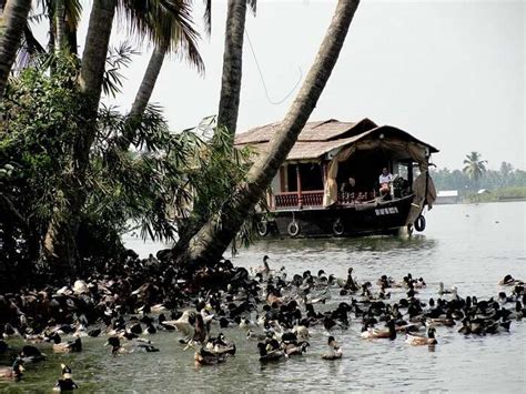 23 Amazing Things To Do In Alleppey For A Rejuvenating Vacation In 2022
