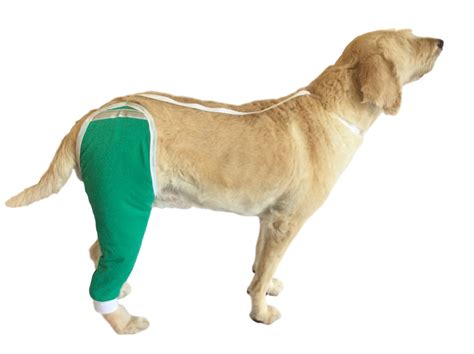Hip And Thigh Wound Protective Sleeve For Dogs In 2020 Dogs Dog Care
