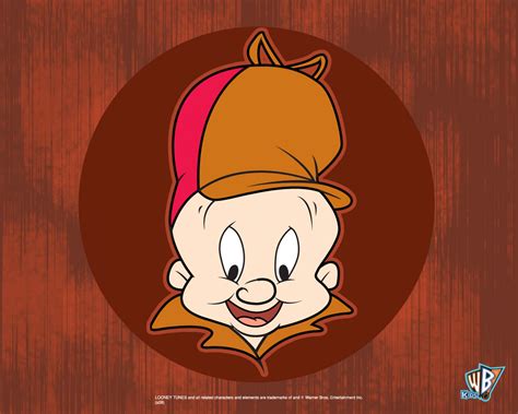 Elmer Fudd Looney Tunes Gs Wallpaper 1920x1536 160993 Wallpaperup