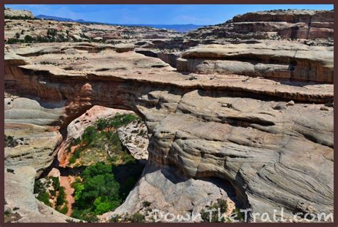 The Best Hike In Natural Bridges National Monument Utah