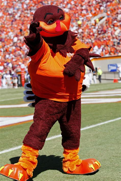 The 50 Best Mascots In College Football News Scores Highlights