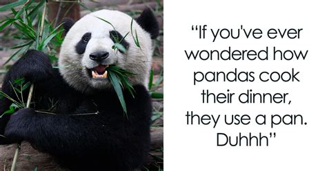 98 Of Truly Panda Stic Panda Puns Bored Panda