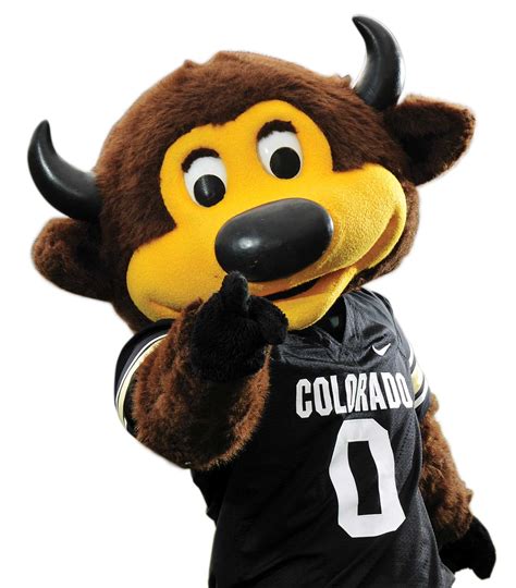 Sports Qanda Chip Alumni Association University Of Colorado Boulder