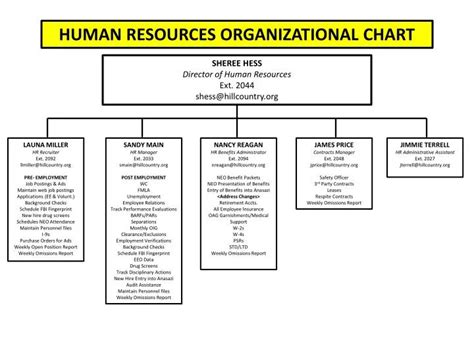 Human Resources Organizational Chart Examples