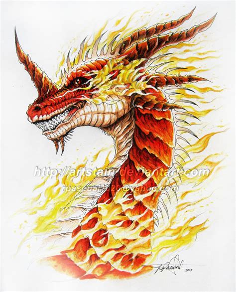 Fire Dragon Head Salamander By Artstain On Deviantart