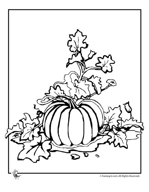 This listing is for one printable black and white 8.5 x 11 coloring sheet. Pumpkin Patch Coloring Page | Woo! Jr. Kids Activities