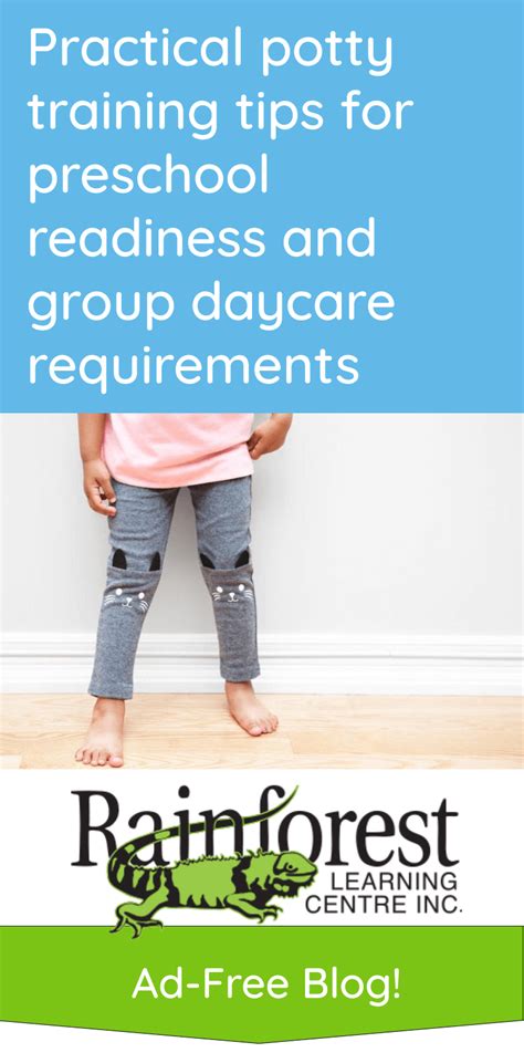 Practical Potty Training Tips For Preschool Readiness And Group Daycare